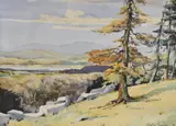 Fairy Steps by Walter Taylor, Watercolour 'Fairy Steps', an autumnal landscape study, signed and dated, offered Jun 2026