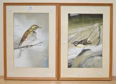 Grey Wagtail by John Crank, watercolour, offered Jun 2026