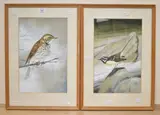 Grey Wagtail by John Crank, watercolour, offered Jun 2026