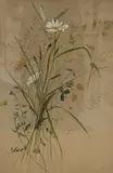 Study of meadow flowers by Sarah Willink, Watercolour, study of meadow flowers, attributed and dated, offered May 2026