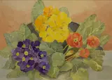 Polyanthus by Nancy Coverdale, Watercolour 'Polyanthus', a vibrant floral study, signed and dated, offered May 2026