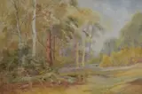 A Woodland Pool by Chas B Dickens, Watercolour, offered May 2026