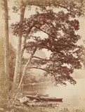 British and Irish Landscape Views by Payne Jennings, photograph, offered Jul 2026