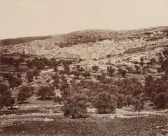Pascal Sébah by Félix Bonfils, photograph, sold Jul 2026