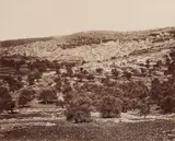 Pascal Sébah by Félix Bonfils, photograph, sold Jul 2026