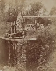 Félix Bonfils by Zangaki Brothers, photograph, sold Jul 2026