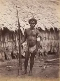 Samoa and Tonga Islands by Alfred H. Burton, print, offered Jul 2026