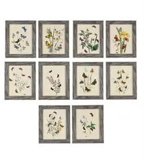 Untitled by Henry Noel Humphreys, print (other), sold Jul 2026