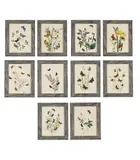 Untitled by Henry Noel Humphreys, print (other), sold Jul 2026