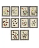 Untitled by Henry Noel Humphreys, print (other), sold Jul 2026
