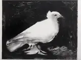 Untitled by Pablo Picasso, Lithograph, sold Jun 2026