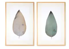 Untitled by Jonathan Delafield Cook, Watercolour One signed and dated, sold Jun 2026