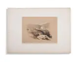Untitled by Louis Hague, print (other), sold May 2026