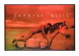 Forever still by Raphael Mazzucco, Mixed media on canvas, offered May 2026