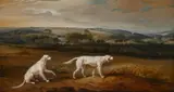 Lord kintore's english setters 'blush' and 'juno' by John Ferneley Senior, Oil on canvas, offered Apr 2026