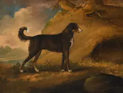 A lurcher in a landscape by Edwin Cooper, Oil on canvas, offered Apr 2026