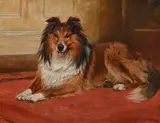 A collie lying down by Charles Edward Stewart, Oil on canvas, offered Apr 2026