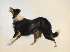 Study of a collie by Thomas Sidney Cooper, Oil on canvas, offered Apr 2026
