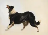 Study of a collie by Thomas Sidney Cooper, Oil on canvas, offered Apr 2026
