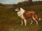 A collie standing in a landscape with a country house beyond by Maud Earl, Oil on canvas, offered Apr 2026