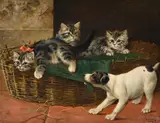 Come out ! by Bernard Cobbe, Oil on canvas, offered Apr 2026