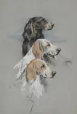Untitled by Arthur Wardle, drawing, offered Apr 2026