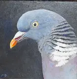Portrait of a Pigeon by Myles Dacre, oil, sold Jun 2026