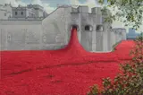Poppies at the Tower by Roy Miller, oil on canvas, offered May 2026