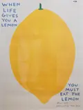When Life Gives You a Lemon by David Shrigley, lithograph, sold May 2026