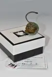 a limited edition piece released in 2007, featuring a by Adam Binder Miniture Bronze Sculpture 'croak', BRONZE, sold May 2026