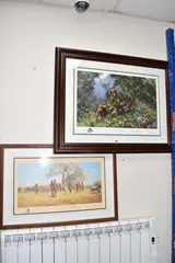 Men of the woods, orangutans by David Shepherd, print, sold Jan 2026