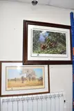 Men of the woods, orangutans by David Shepherd, print, sold Jan 2026