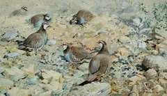 Untitled by Rodger McPhail, Watercolour, offered Jun 2026
