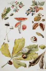 Untitled by Rodger McPhail, Watercolour, offered Jun 2026