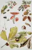 Untitled by Rodger McPhail, Watercolour, offered Jun 2026