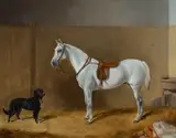 Untitled by James Wheeler, Oil on canvas, sold Mar 2026