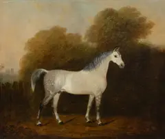 Untitled by Clifton Tomson, Oil on canvas, sold Mar 2026