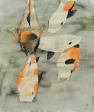 Koi Carp Signed with initials MN by Mary Newcomb, Pencil, watercolour and pastel, offered Dec 2025
