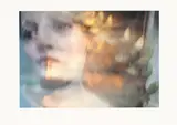 Remaining myths? by Olivia Parker, 2017, photograph, sold Oct 2026