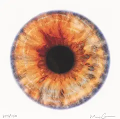 We Share Our Chemistry With The Stars (SQ200R) by Marc Quinn, 2014, print (other), sold Sep 2026