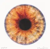 We Share Our Chemistry With The Stars (SQ200R) by Marc Quinn, 2014, print (other), sold Sep 2026
