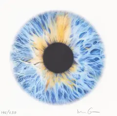 We Share Our Chemistry With The Stars (LH200R) by Marc Quinn, 2015, print (other), sold Sep 2026