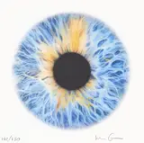 We Share Our Chemistry With The Stars (LH200R) by Marc Quinn, 2015, print (other), sold Sep 2026