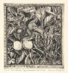 Jerusalemsøtvier by Anne Lise Knoff, 1983, print (other), sold Aug 2026