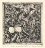 Jerusalemsøtvier by Anne Lise Knoff, 1983, print (other), sold Aug 2026