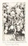 Appelsintre by Anne Lise Knoff, 1986, print (other), sold Aug 2026