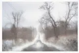 #11170-6690 by Todd Hido, 2012, photograph, sold Aug 2026