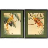 Water color/ by Shirrell Graves, gouache on paper.Two tropical birds.Signed l/r18in. x 24in. (46cm. x 61cm)Framed, sold Jan 2023