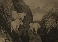 Goats by Carl Rungius, etching and drypoint, sold Oct 2019