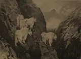 Goats by Carl Rungius, etching and drypoint, sold Oct 2019